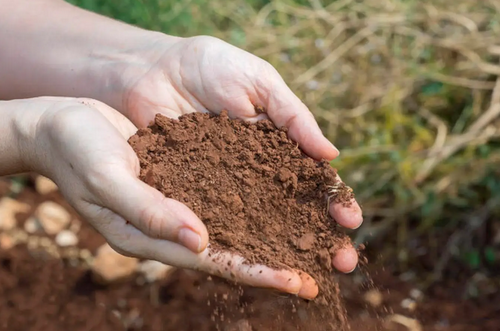 土壤檢測儀十大品牌：助力精準農(nóng)業(yè)發(fā)展