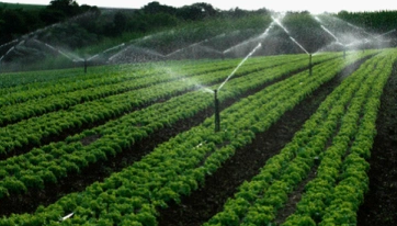 土壤檢測儀器品牌：精準農(nóng)業(yè)的得力助手