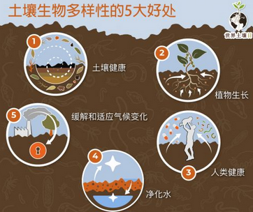 土壤檢測(cè)儀器工作原理：揭開(kāi)土壤質(zhì)量的神秘面紗