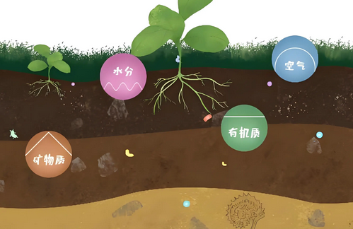 土壤檢測(cè)儀精準(zhǔn)檢測(cè)，助力農(nóng)業(yè)可持續(xù)發(fā)展